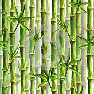 Green bamboo forest seamless pattern