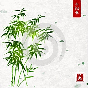 Green bamboo on handmade rice paper background