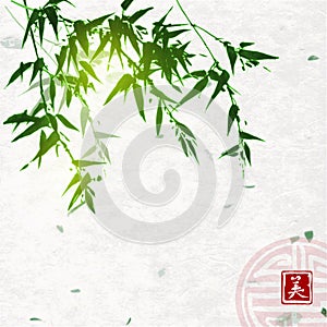Green bamboo on handmade rice paper background.