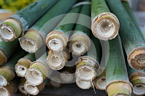 Green bamboo for making food