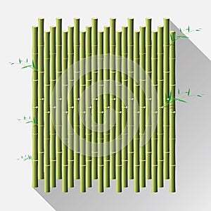 Green bamboo mat, wal, diy, isolate on white background. vector