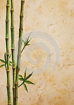 Green bamboo plants on old brown paper background