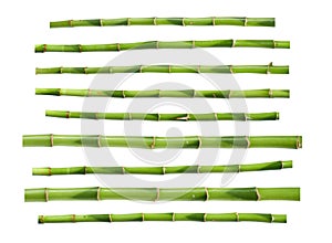 Green bamboo sticks