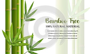 Green bamboo sticks with leaves. Bamboo background with place for text. Vector realistic illustration.