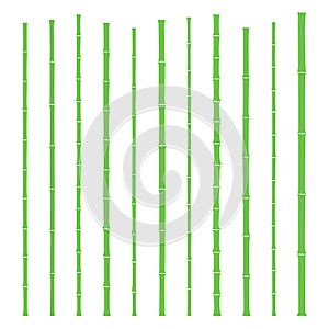 Green bamboo sticks set. Flat vector Illustration.
