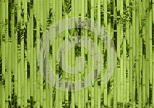 Green bamboo texture with natural patterns