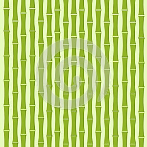 Green Bamboo Tree Background Flat Vector