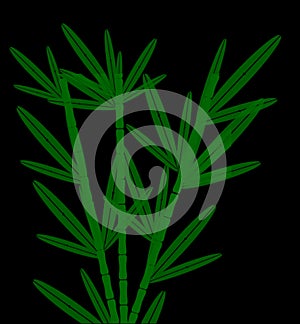 green bamboo tree image with PNG file