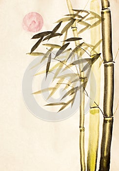 Green bamboo tree and sun