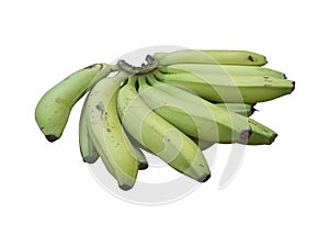 Green Banana bunch siolated