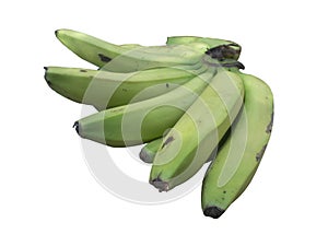 Green Banana bunch 2