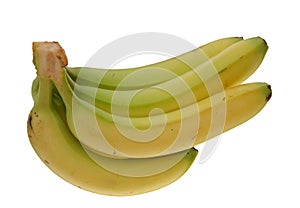 Green banana bundle