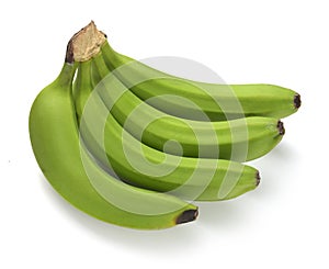 Green banana bundle