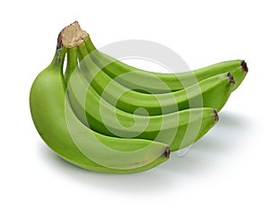 Green banana bundle