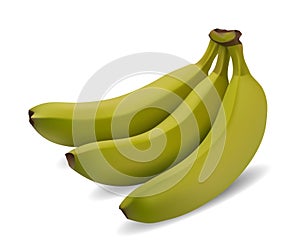 Green banana bundle