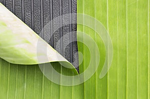 Green banana leaf and rubber marking background abstract