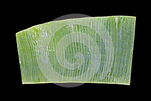 Green banana leaf with water drops isolated on black background