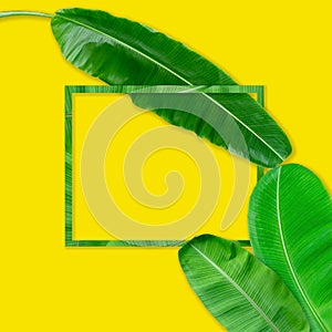 Green banana leaves pattern for nature concept,tropical leaf on yellow background