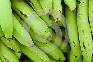 Green bananas