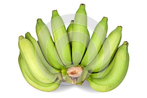 Green bananas isolated on white background