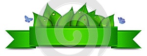 Green Banner with Copy Space