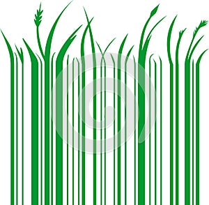 Green barcode