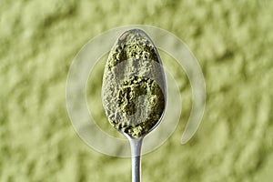 Green barley grass powder on a metal spoon, top view