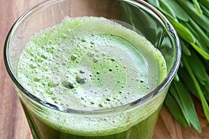 Green barley grass shot in a glass