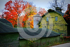 Barn Fall Colors