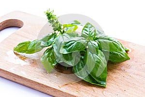 Green basil with flower over woodenboard