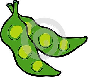 Zelený fazole 