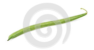 Green bean isolated