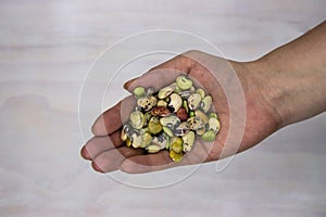 Green bean pile in female hand top view photo. Phaseolus bean texture. Kidney bean handful. Healthy grain dish
