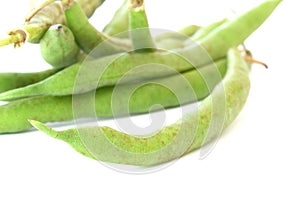 Green bean pods detail