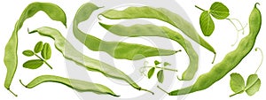 Green bean pods with leaves isolated on white background
