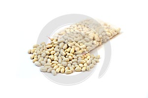 Green bean seeds on white ground