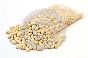 Green bean seeds on white ground photo