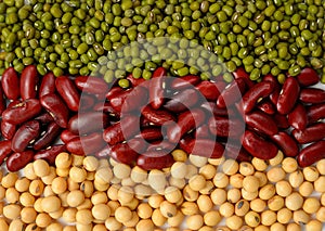Green bean,soy beans and red bean background .Different types o
