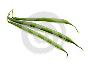 GREEN BEANS OR FRENCH BEANS phaseolus vulgaris AGAINST WHITE BACKGROUND