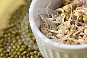 Green beans. Fresh sprouts. White cup. Healthy food