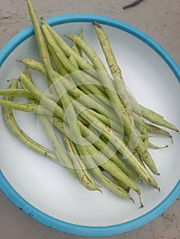 Green beans that I just bought from the market