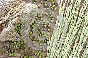 Green beans in sack together with ear of rice, on wooden texture background