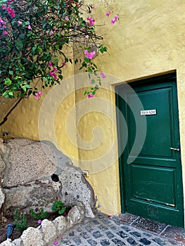 Green beautiful door in Tenerife, Spain. External wooden door. Flowering tree. Privado main private photo