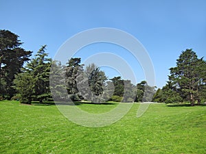 Green beautiful park and blue sky