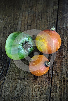 Green beef tomato and red kuri sashes on a dark wooden table