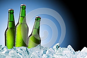 Green beer bottles on ice