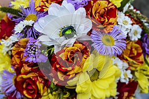 Closeup of green beetle on the background of multi color flowers photo