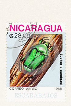 Green Beetle Pest on Stamp