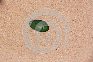 Green beetle in the yellow sand. Mood loneliness, contrast