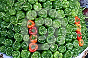 Green bell pepper photo